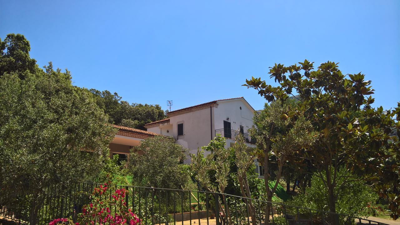 Hotel Cala Del Citro Маратеа Екстериор снимка