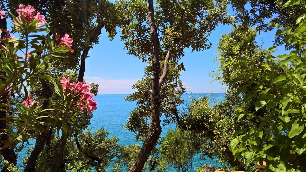 Hotel Cala Del Citro Маратеа Екстериор снимка