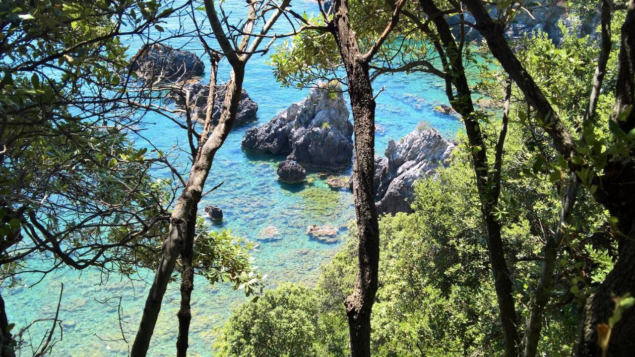 Hotel Cala Del Citro Маратеа Екстериор снимка